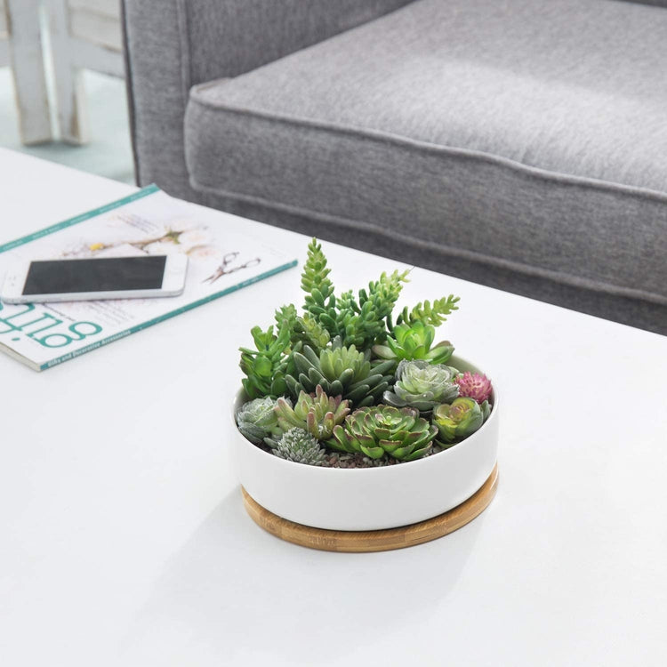 succulent pots with holes 8-Inch Succulent White Ceramic Round Planter Pot with Drainage Hole an – MyGift