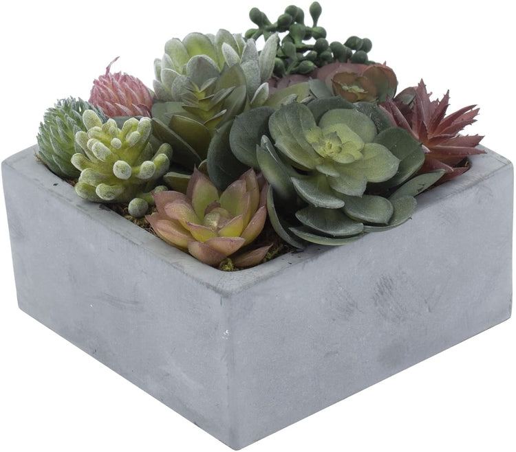 Artificial Assorted Succulent Faux Plants Arrangement in Square Concrete Pot, Decorative Tabletop Centerpiece-MyGift