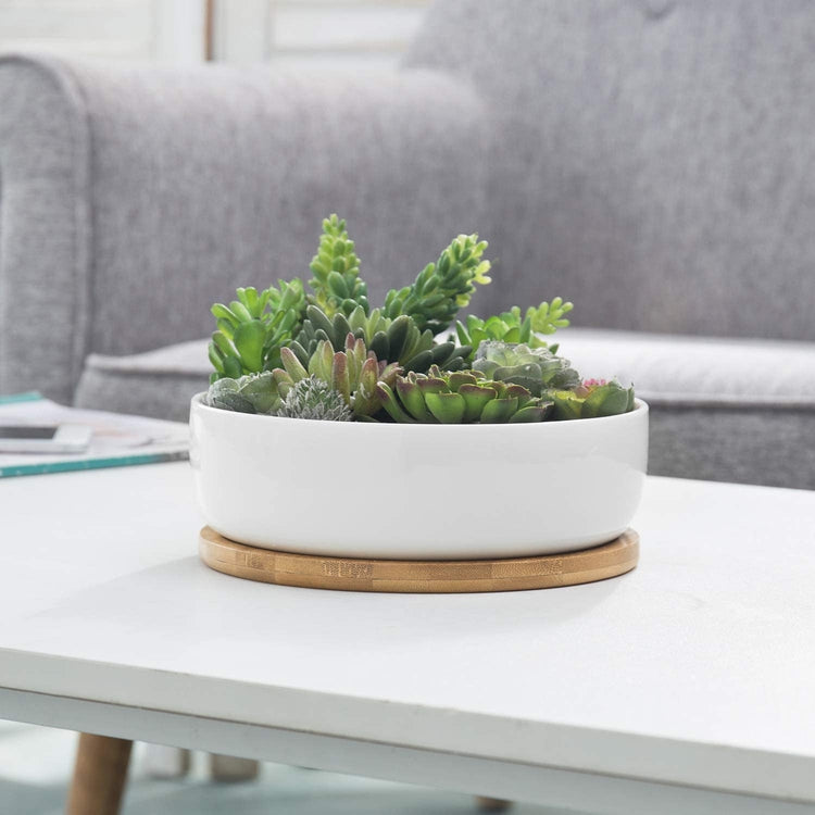 8-Inch Succulent White Ceramic Round Planter Pot with Drainage Hole and Removable Bamboo Tray-MyGift