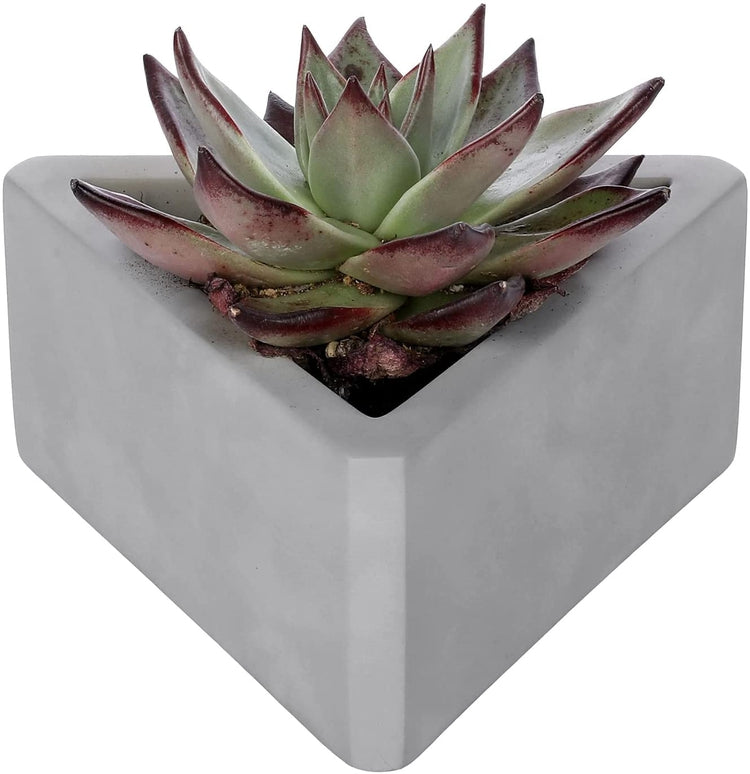 Triangular Indoor Plant Pot Mini Concrete Gray Succulent Planter-MyGift