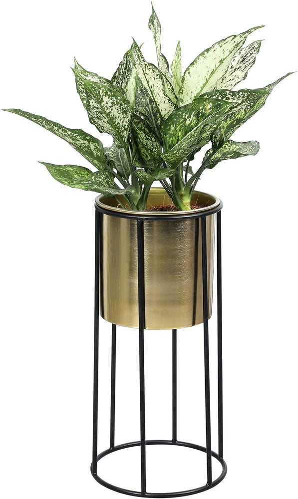 6 inch Modern Brass Tone Metal Flower Planter Pot with Industrial Black Metal Wire Display Stand-MyGift