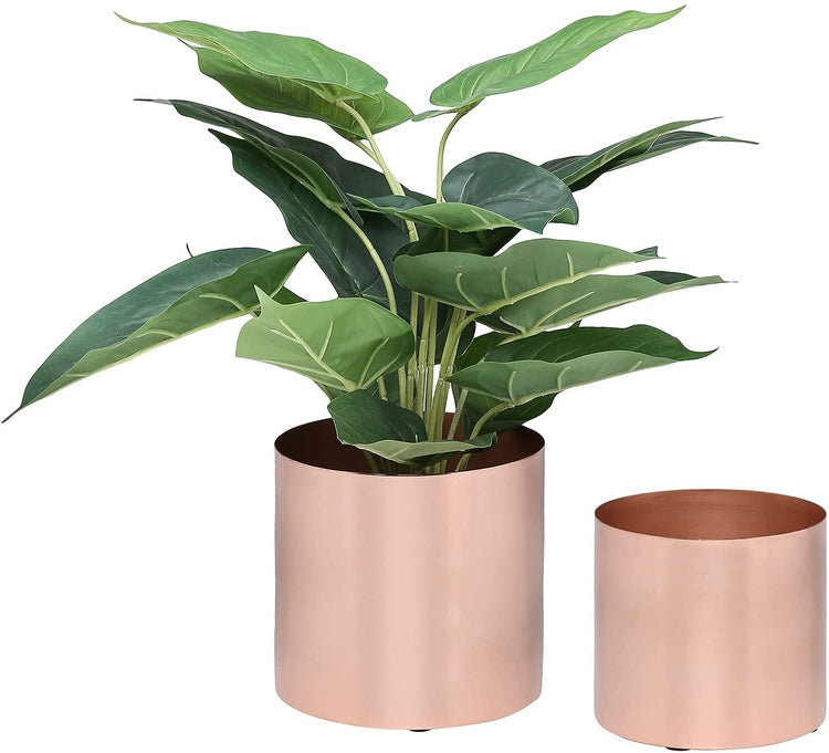 Set of 2, Brushed Copper Plated Metal Cylindrical Planter Pots-MyGift