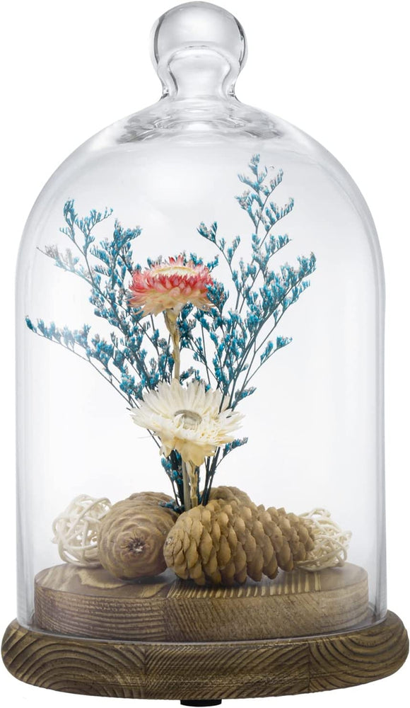 10-inch Glass Dome Bell Jar Cloche Display Case, Wood Base with Burnt and Dark Burnt Finishes-MyGift
