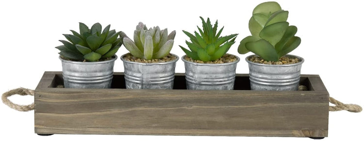 Assorted Mini Artificial Succulent Plants in Galvanized Metal Planter Pots with Gray Wood Tray-MyGift