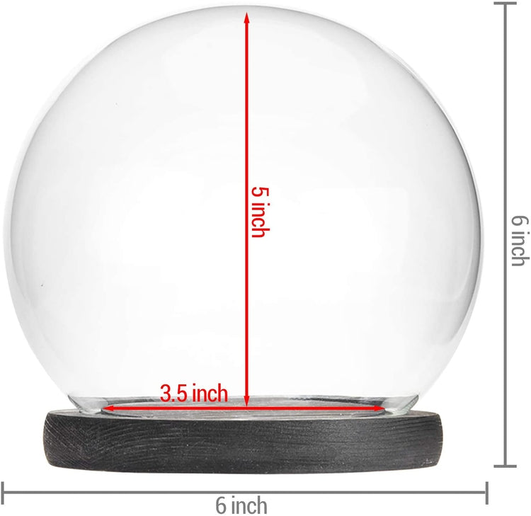 Set of 2, 6-inch Clear Glass Terrarium and Keepsake Display Globe Cloche with Black Wood Base-MyGift