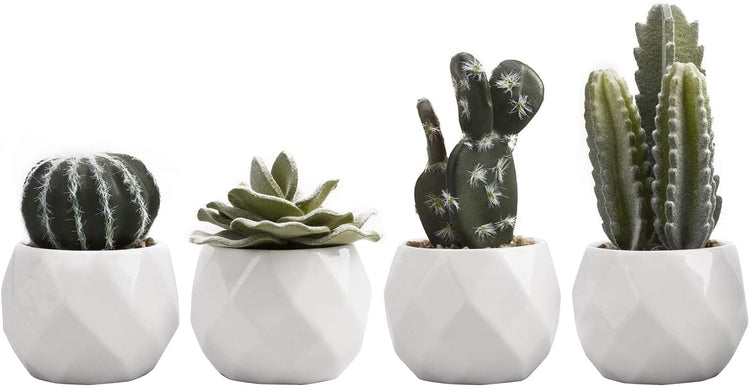 Set of 4 Miniature Assorted Artificial Cactus & Succulent Plants in White Geometric Ceramic Planters-MyGift