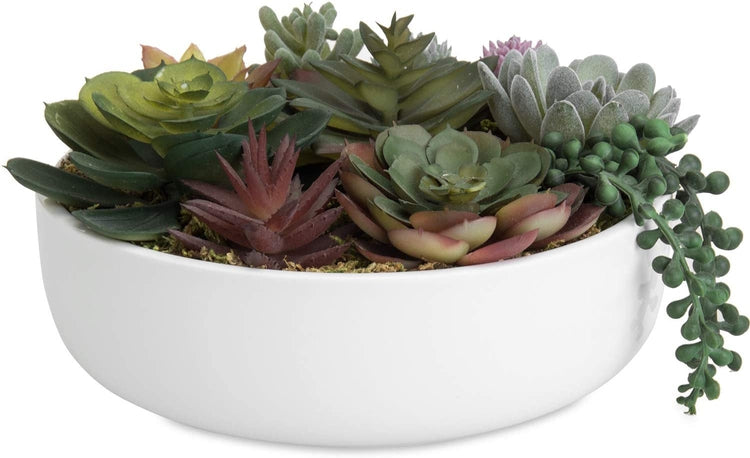 8-Inch Modern Assorted Artificial Succulent Plants with White Round Ceramic Planter Pot-MyGift