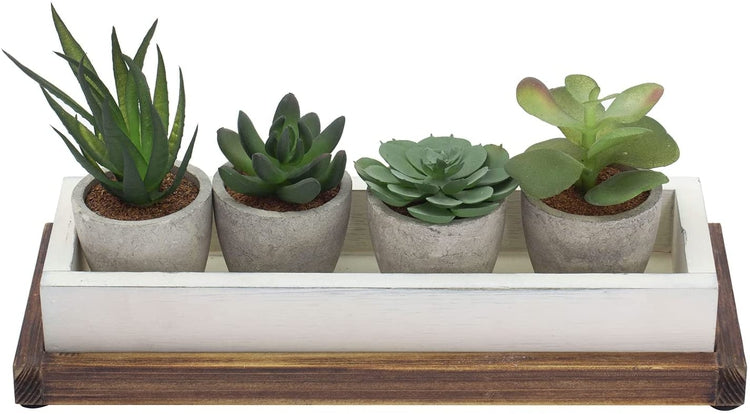 6 Piece Fake House Plants Mini Assorted Faux Succulents in Concrete Planter with White and Burnt Wood Plant Box and Tray-MyGift