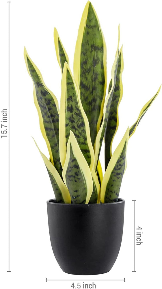 Artificial Faux Tall Snake Plant in Matte Black Planter Pot-MyGift
