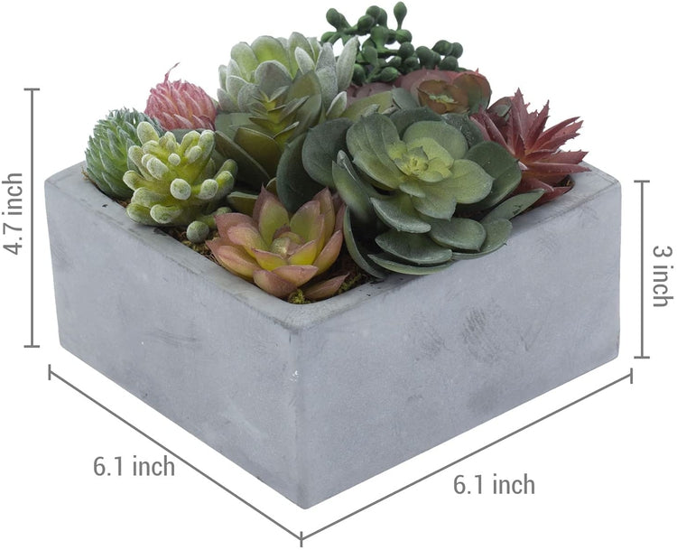 Artificial Assorted Succulent Faux Plants Arrangement in Square Concrete Pot, Decorative Tabletop Centerpiece-MyGift