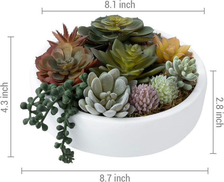 8 Inch Round Artificial Succulent Arrangement Potted, White Concrete Plant Container-MyGift