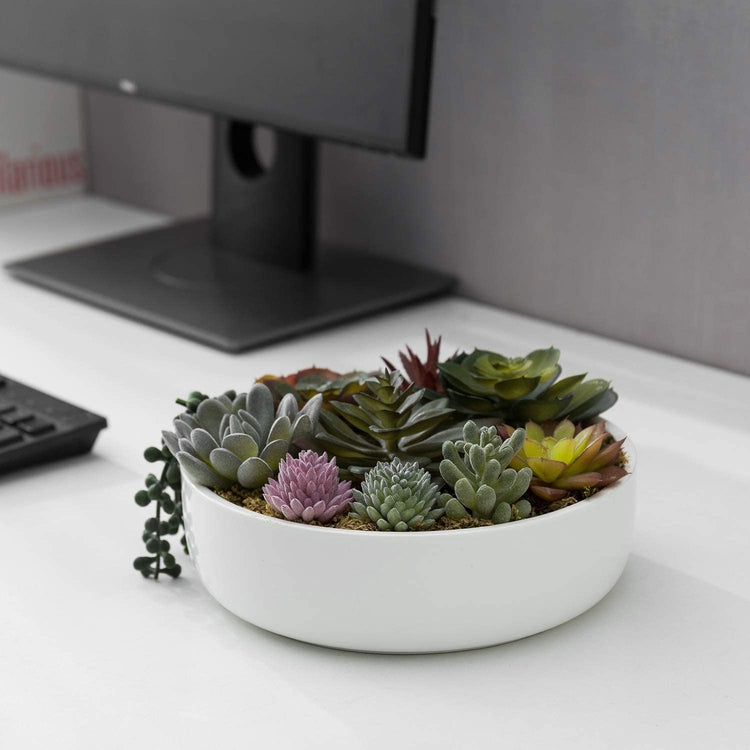 8-Inch Modern Assorted Artificial Succulent Plants with White Round Ceramic Planter Pot-MyGift