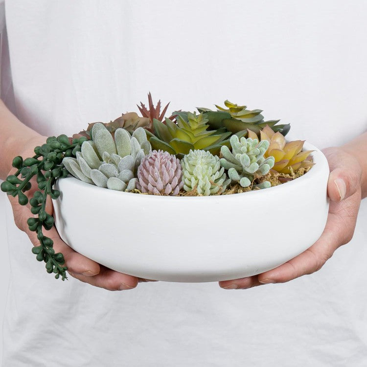 faux succulents in bowl Artificial Assorted Succulent Plant Arrangement in Round White Plant Pot