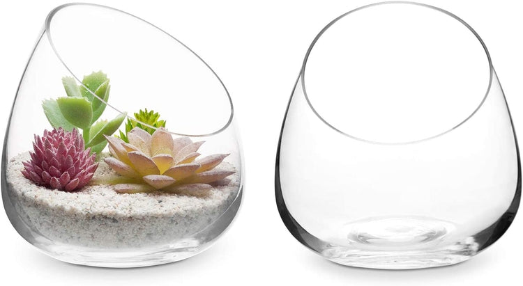WGV Wall Hanging Planter Terrarium, Diameter 6", Clear Mounted DIY Succulents Air