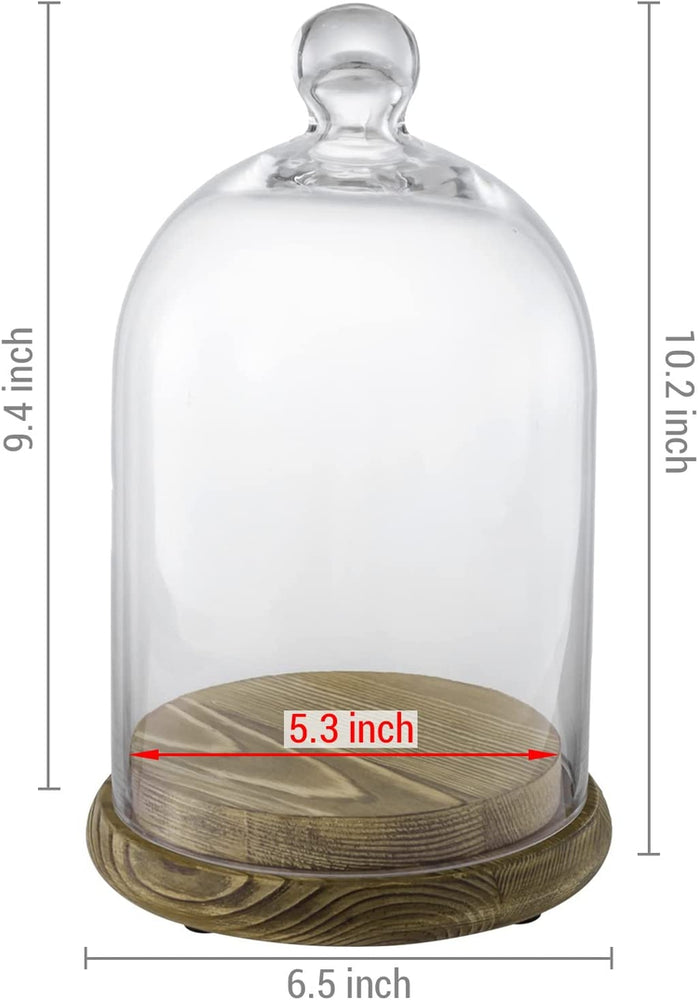 10-inch Glass Dome Bell Jar Cloche Display Case, Wood Base with Burnt and Dark Burnt Finishes-MyGift