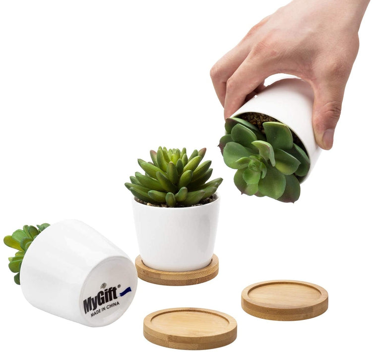 Set of 3 Artificial Succulent Plants in White Ceramic Pots with Bamboo Trays-MyGift