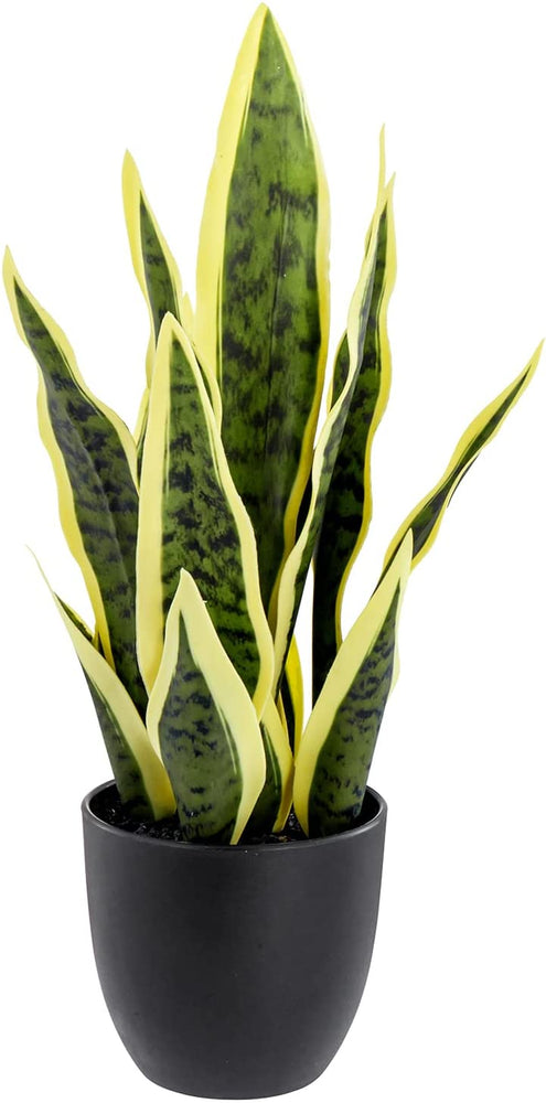 Artificial Faux Tall Snake Plant in Matte Black Planter Pot-MyGift
