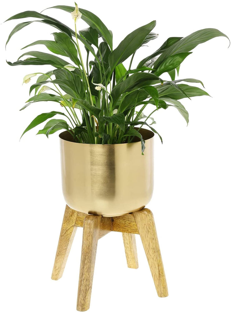 Small Plant Pot, Decorative Brushed Brass Metal Pot with Solid Mango Wood Planter Stand-MyGift