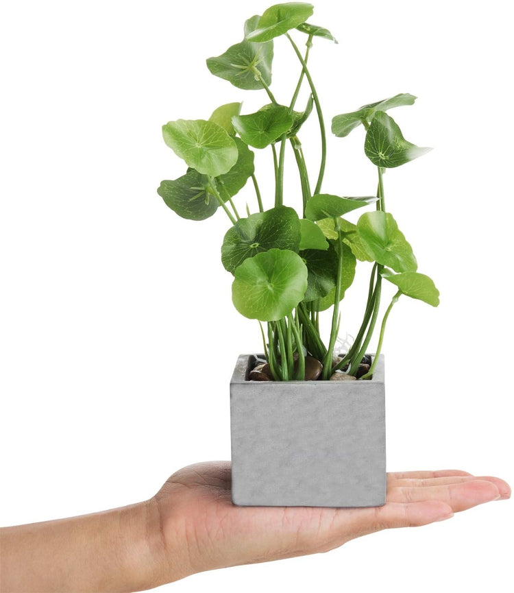 Set of 3 Artificial Assorted Plants Faux Tabletop Greenery in Gray Cement Square Pots-MyGift