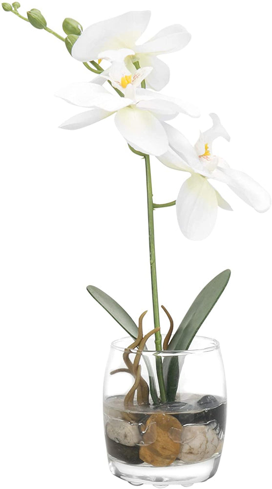 White Mini Synthetic Silk Artificial Phalaenopsis Orchid in Glass Vase-MyGift