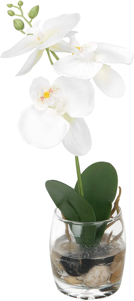 White Mini Synthetic Silk Artificial Phalaenopsis Orchid in Glass Vase-MyGift