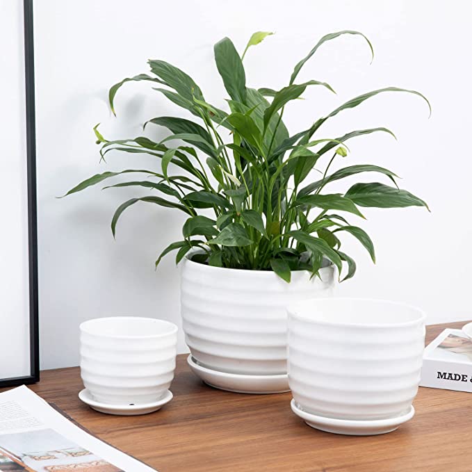 Ribbed White Ceramic Indoor Plant Pots with Drainage Hole and Attached Saucers, Small Succulent Planter, Set of 3-MyGift