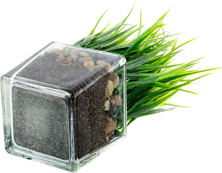 plastic grass plants Artificial Grass Plants in Square Clear Glass Pots with Faux Pebbles and Soil, Potted Greenery, Set of 2
