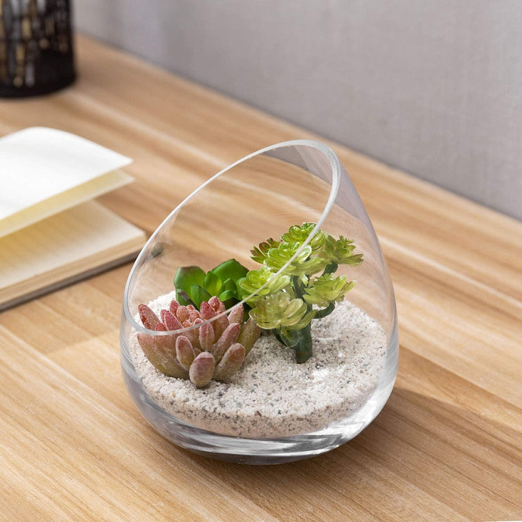 small vases for succulents Decorative Round Clear Glass Plant Terrariums, Ornament Display Flower Vases, Set of 2