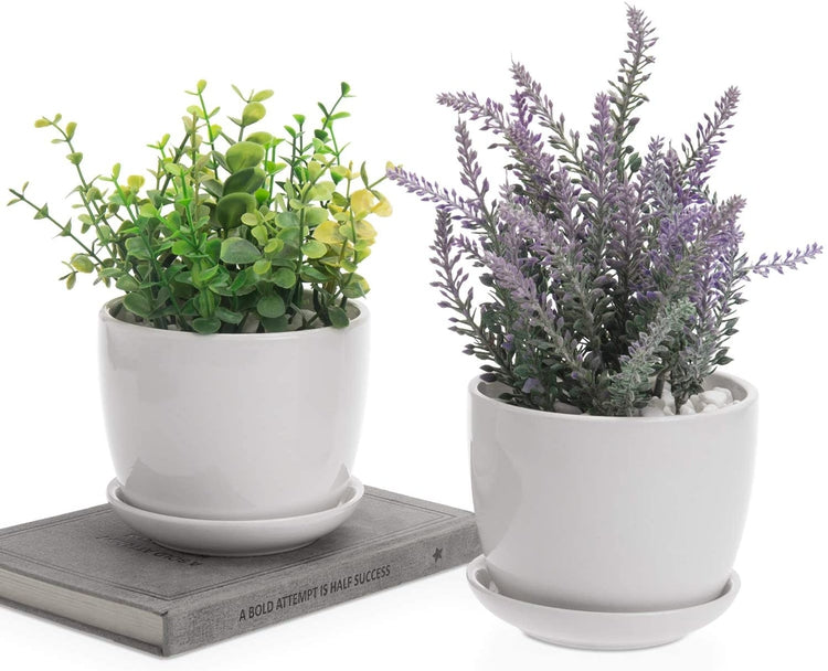 Set of 2, 4 Inch Off-White Ceramic Succulent Planter Flower Pots with Saucer-MyGift