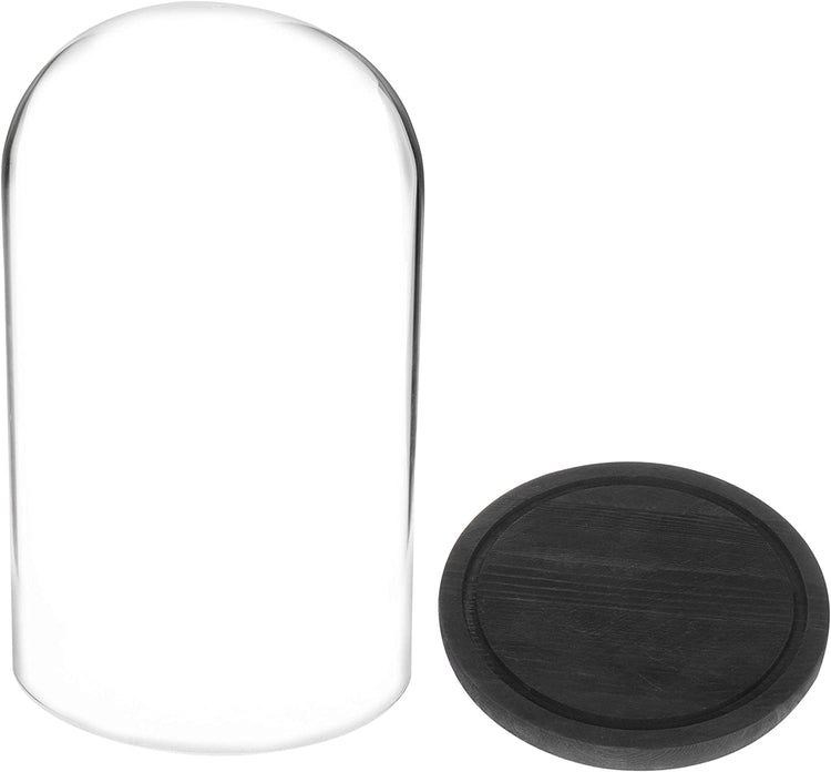 Decorative 10 x 7 inch, Clear Glass Cloche Jar Display Case with Black Rustic Wood Base-MyGift