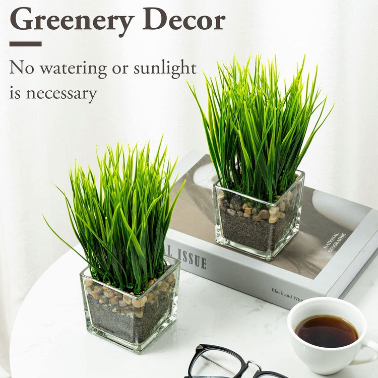artificial grass plants indoor Artificial Grass Plants in Square Clear Glass Pots with Faux Pebbles and Soil, Potted Greenery, Set of 2