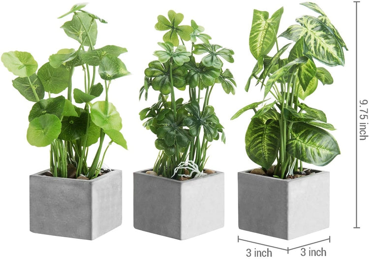 Set of 3 Artificial Assorted Plants Faux Tabletop Greenery in Gray Cement Square Pots-MyGift