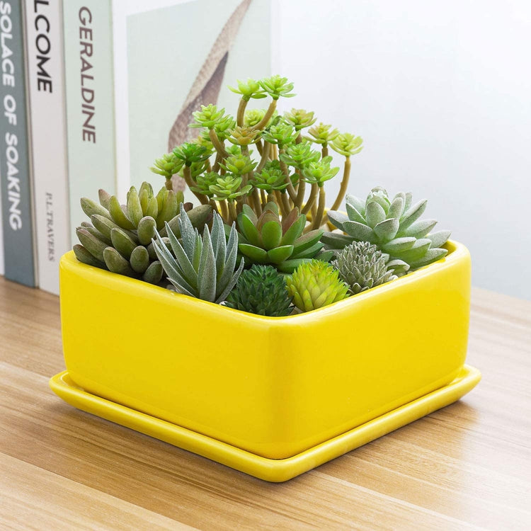 Yellow Ceramic Square Succulent Planter with Removable Drainage Tray-MyGift