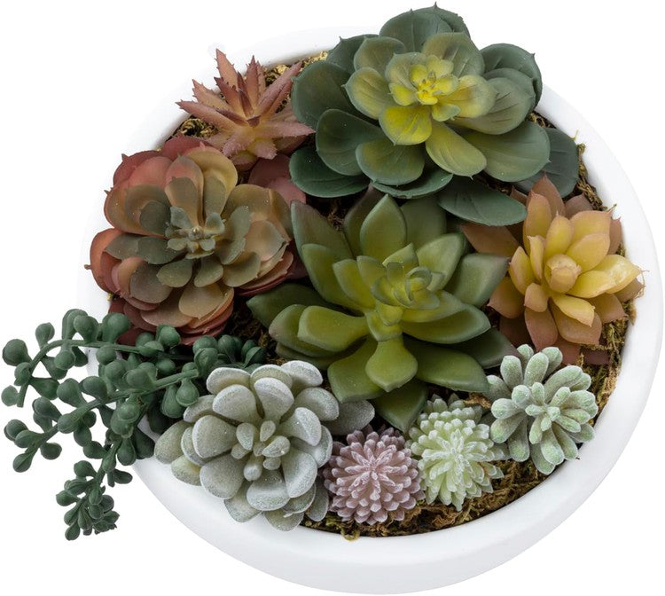 8 Inch Round Artificial Succulent Arrangement Potted, White Concrete Plant Container-MyGift