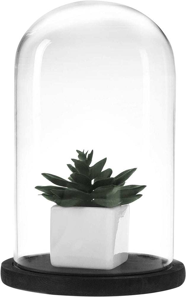 Decorative 10 x 7 inch, Clear Glass Cloche Jar Display Case with Black Rustic Wood Base-MyGift