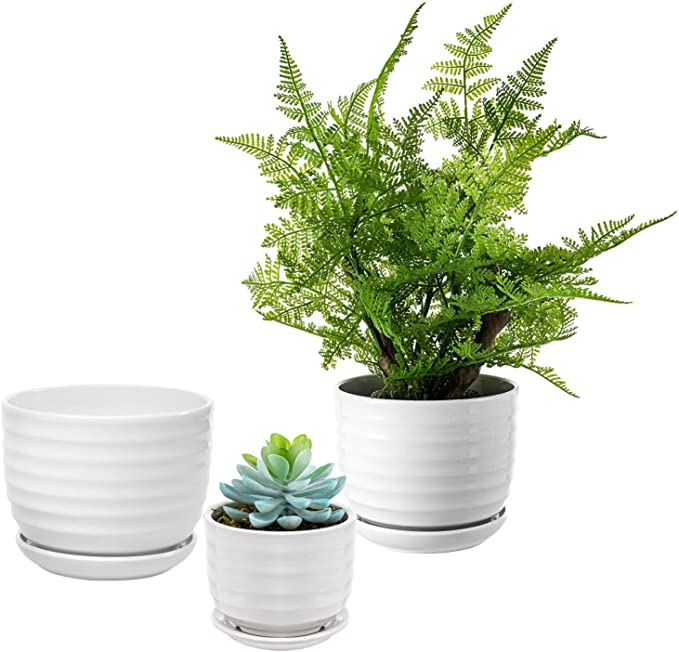Ribbed White Ceramic Indoor Plant Pots with Drainage Hole and Attached Saucers, Small Succulent Planter, Set of 3-MyGift
