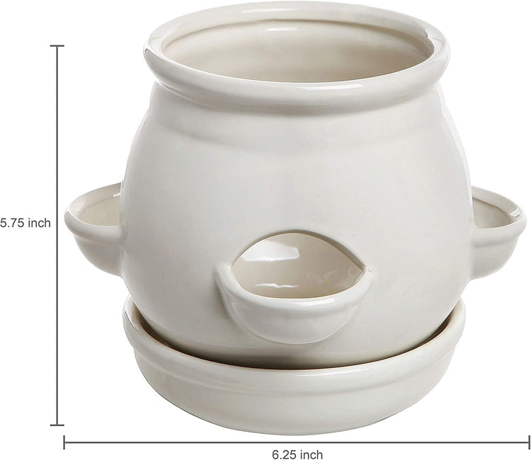 4 inch ceramic flower pots Decorative 4 Side Openings White Round Ceramic Planter Pot with Saucer – MyGift