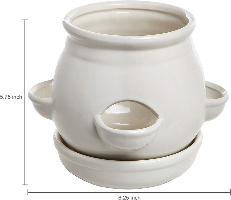 Decorative 4 Side Openings White Ceramic Planter Pot with Saucer-MyGift