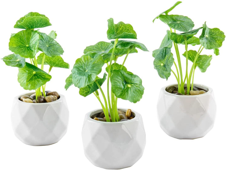 Set of 3, Mini Artificial Lotus Plants, Faux Greenery in Geometric White Ceramic Planter Pots and Stone Filler-MyGift