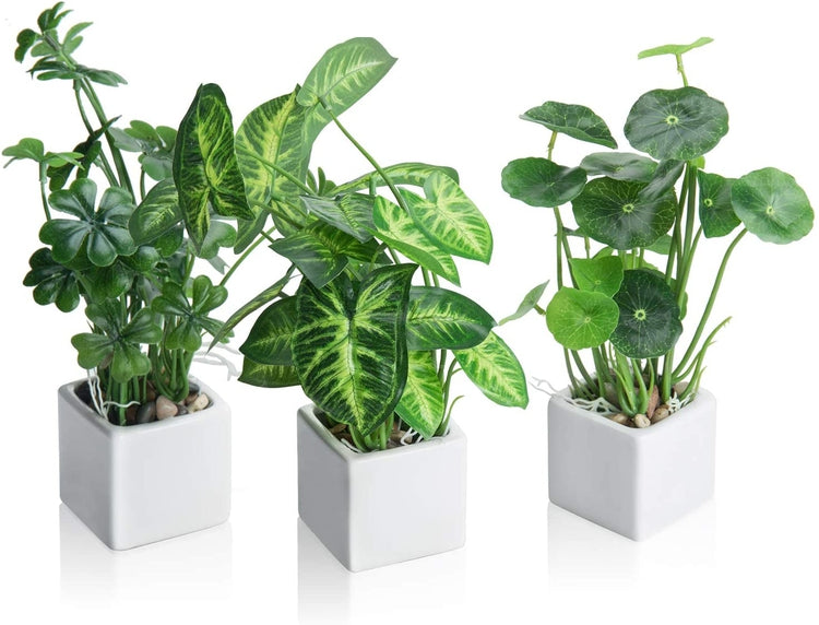white potted artificial plants Assorted Artificial Plants in White Square Ceramic Pots, Set of 3