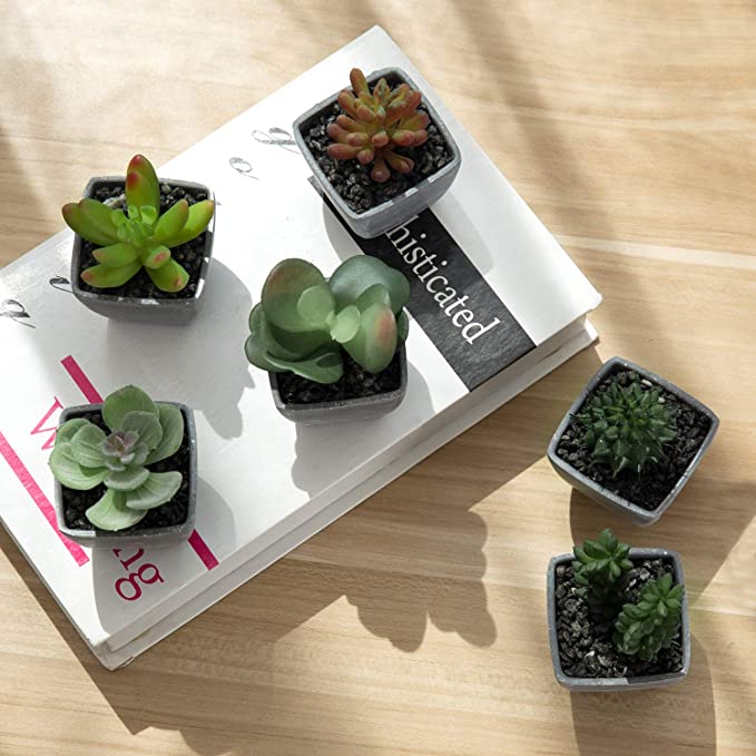 Miniature Artificial Succulents in Square Gray Planters, Fake House Plants, Set of 6-MyGift