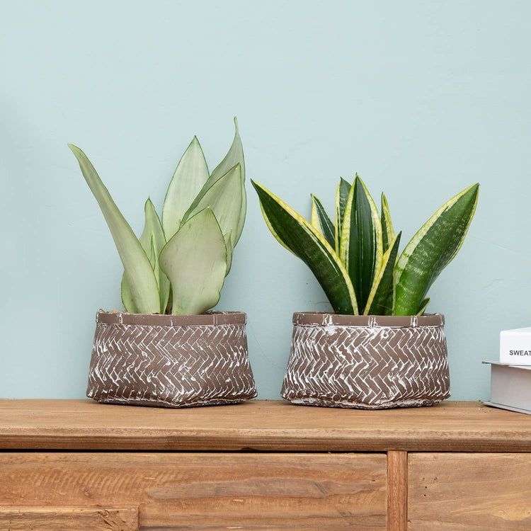 Set of 2, 6-Inch Brown Concrete Indoor Plant Pots with Rattan Design, Small Planters Succulent Cactus Container-MyGift