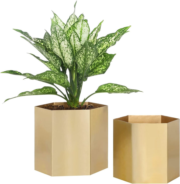 Set of 2, Metallic Shiny Brass Metal Indoor Planter, Decorative Succulent Cactus Pot, Hexagon Shaped Vase Container-MyGift