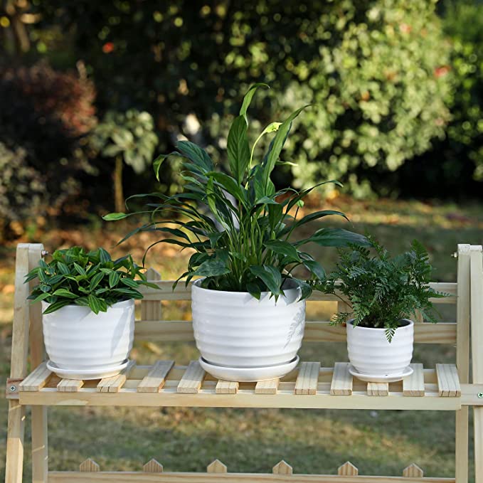 Ribbed White Ceramic Indoor Plant Pots with Drainage Hole and Attached Saucers, Small Succulent Planter, Set of 3-MyGift