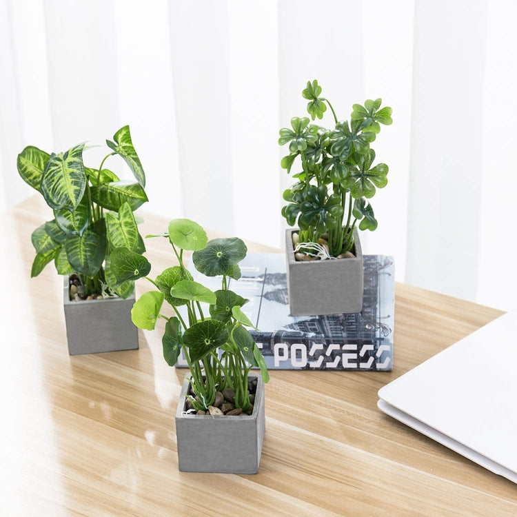 Set of 3 Artificial Assorted Plants Faux Tabletop Greenery in Gray Cement Square Pots-MyGift