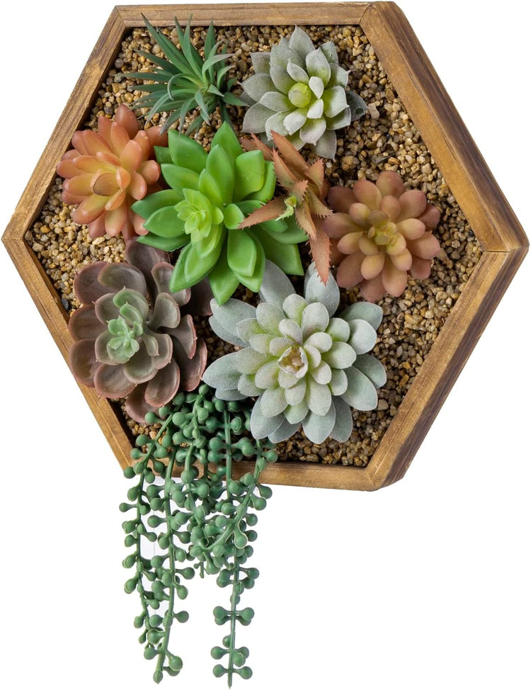 3D Art Wall Hanging Succulents, Vertical Hexagonal Burnt Wood Planter Box, Artificial Faux String of Pearls Arrangement-MyGift