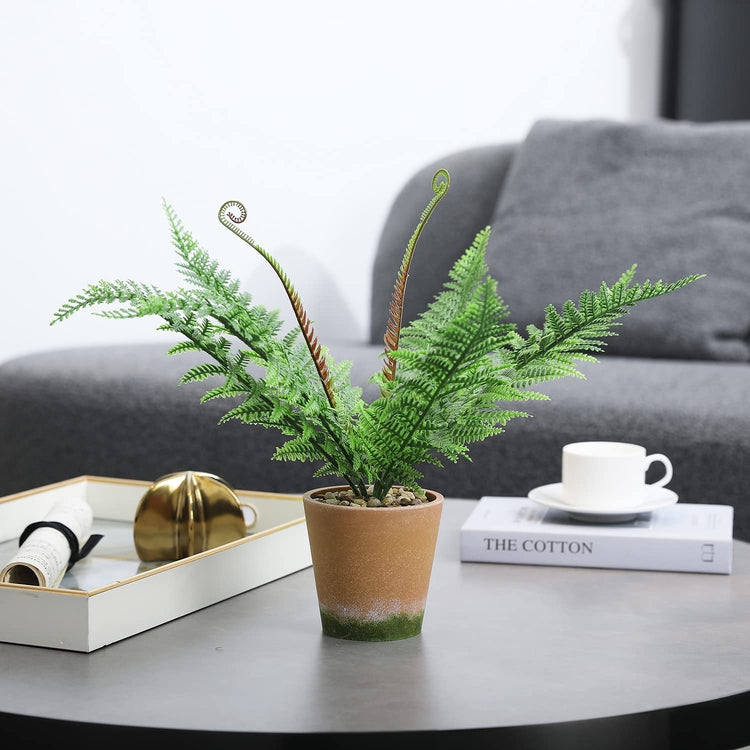 Tabletop Faux Macho Fern Plant Artificial House Plants in Decorative Terracotta Design Pot with Rock Fillers-MyGift