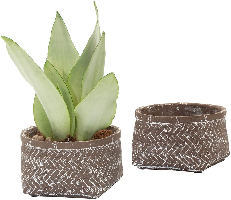 Set of 2, 6-Inch Brown Concrete Indoor Plant Pots with Rattan Design, Small Planters Succulent Cactus Container-MyGift