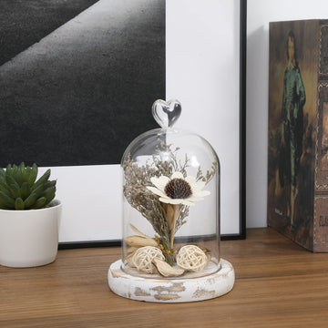 Mini Tabletop Display Case Dome with Whitewashed Wooden Base and Clear ...
