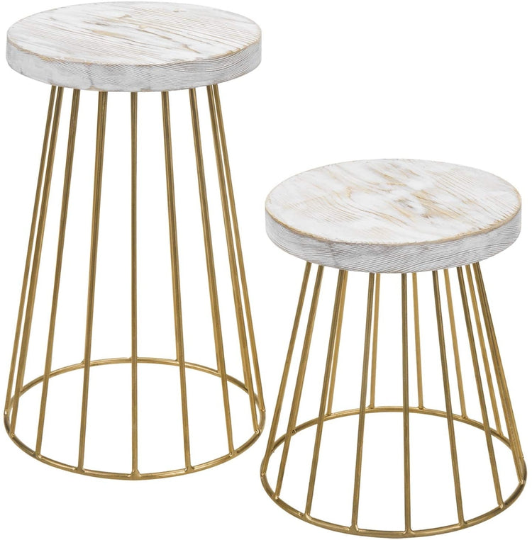 Set of 2 Whitewashed Wood and Vintage Brass Tone Metal Pedestal Display Stands-MyGift